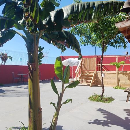 Rural San Antonio Villa Candelaria Exterior photo